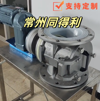 DN200側(cè)開(kāi)-特氟龍法蘭-尼龍葉輪_常州同得利