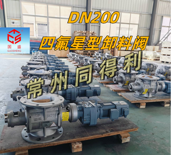 DN200-四氟-常州同得利